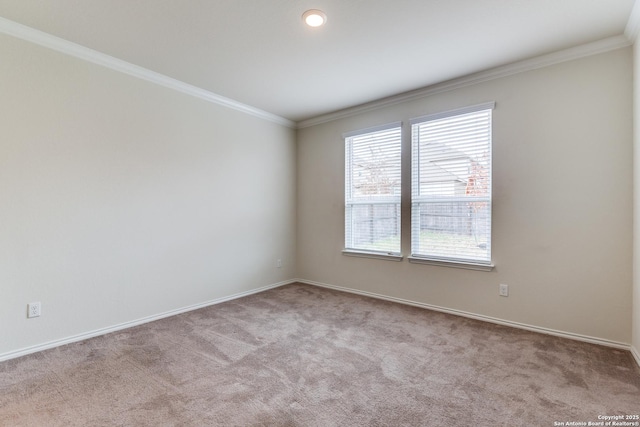 carpeted empty room featuring crown molding