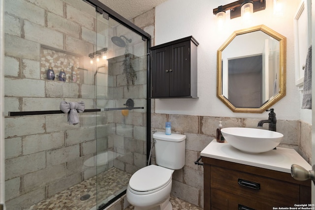 bathroom featuring toilet, vanity, a shower with door, and a textured ceiling