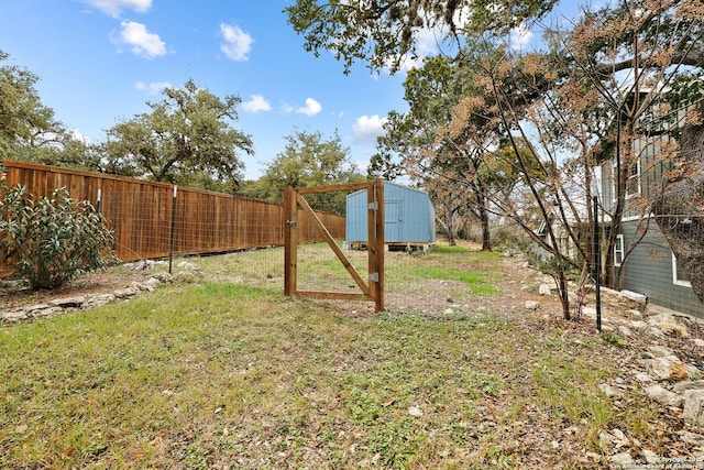 view of yard with a storage unit