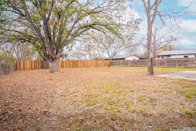 view of yard featuring a patio area