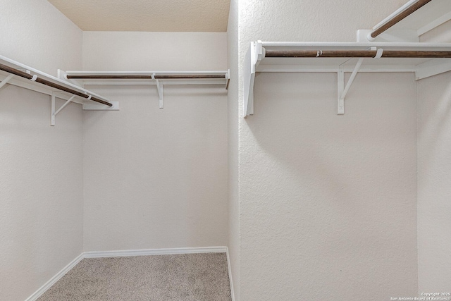 spacious closet with carpet flooring