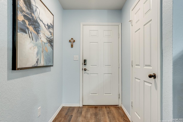 doorway featuring wood-type flooring