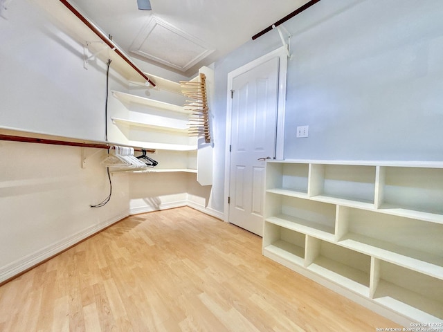 basement with light hardwood / wood-style flooring