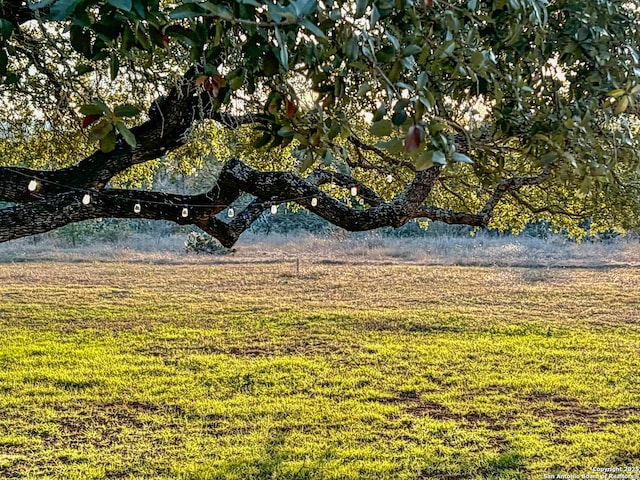 view of yard with a rural view