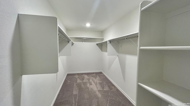 walk in closet featuring carpet flooring