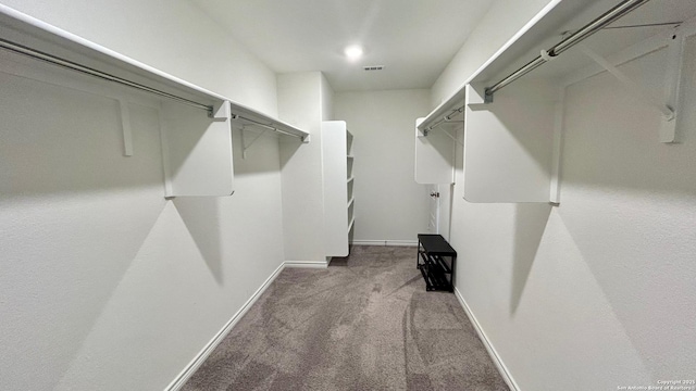 spacious closet with carpet