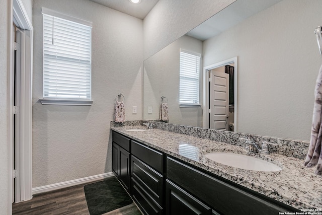 bathroom with hardwood / wood-style flooring and vanity