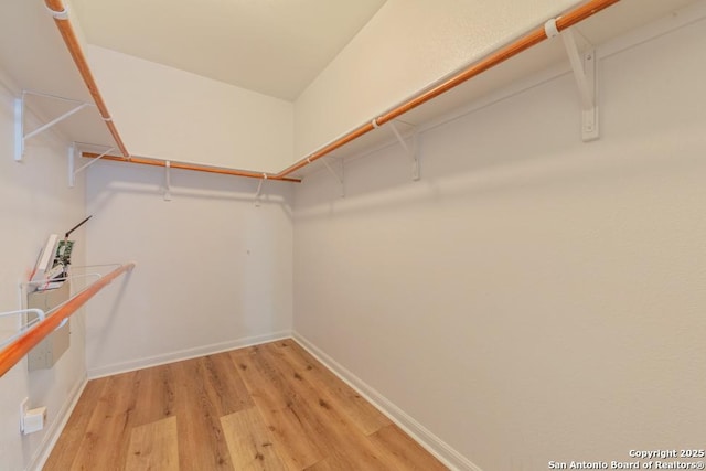 spacious closet featuring light hardwood / wood-style floors