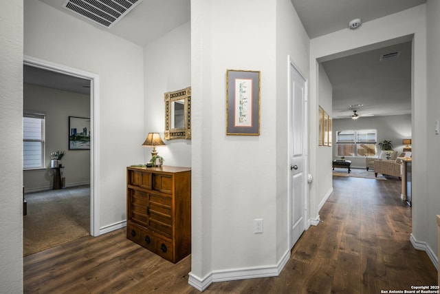 corridor featuring dark hardwood / wood-style flooring