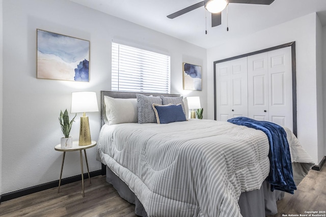 bedroom with dark wood-type flooring, ceiling fan, and a closet