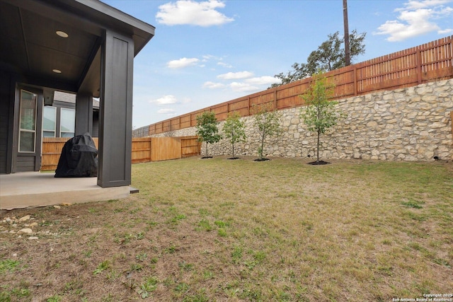 view of yard with a patio area