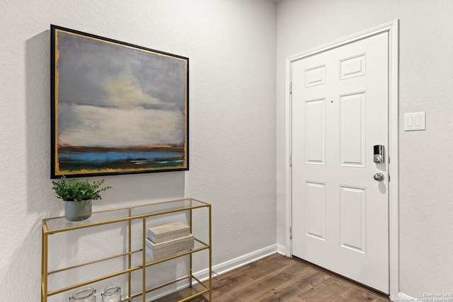 entrance foyer with dark wood-type flooring