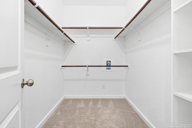 walk in closet featuring carpet floors