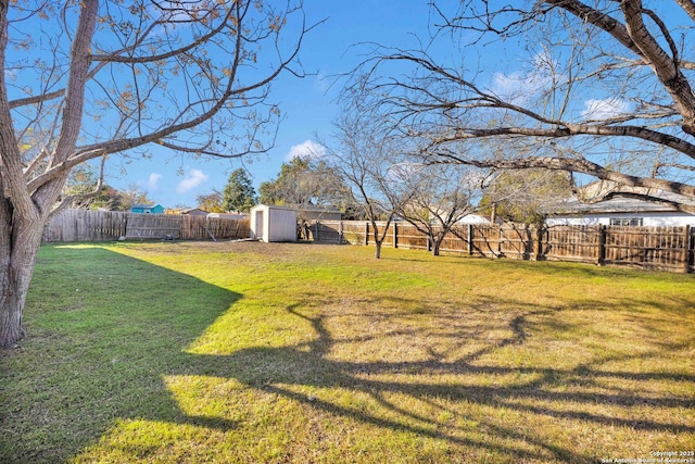 view of yard featuring a storage unit