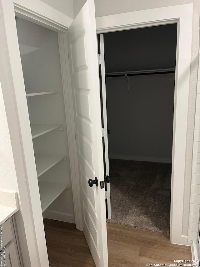 view of closet