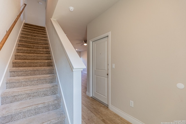 stairs featuring ceiling fan and hardwood / wood-style floors