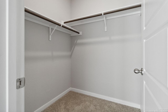 walk in closet with carpet