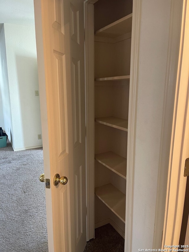 view of closet