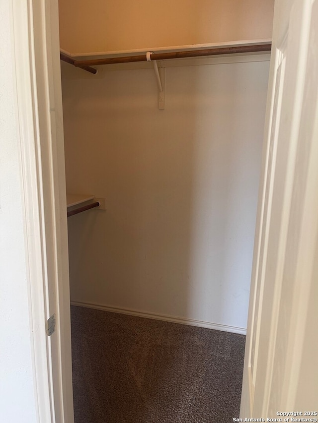 walk in closet with carpet flooring