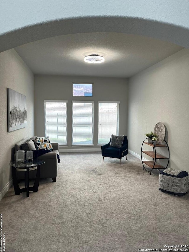 sitting room featuring a healthy amount of sunlight, light colored carpet, and a textured ceiling