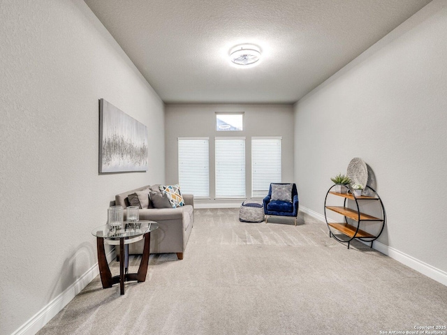 sitting room with light colored carpet and a textured ceiling