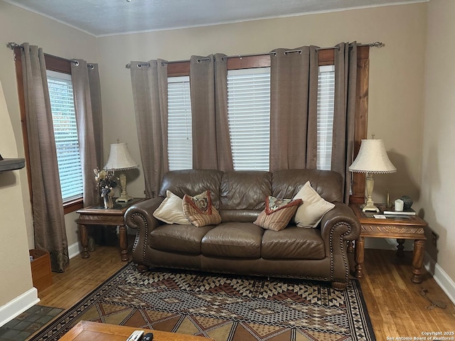 living room featuring hardwood / wood-style floors