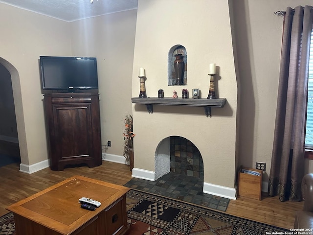 living room with dark hardwood / wood-style flooring