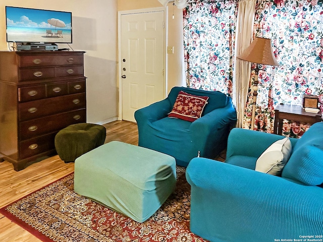 living room featuring hardwood / wood-style flooring