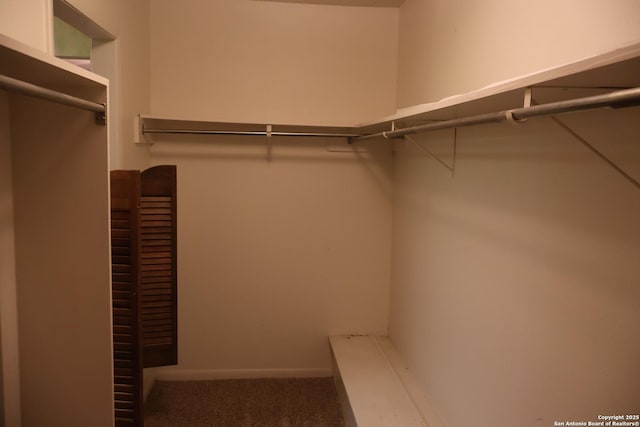 spacious closet featuring carpet floors