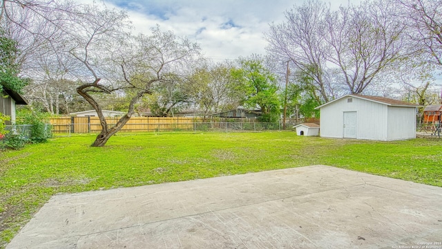 view of yard featuring a patio and a shed