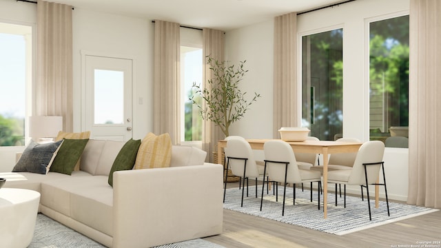 living area featuring light wood-type flooring and a wealth of natural light