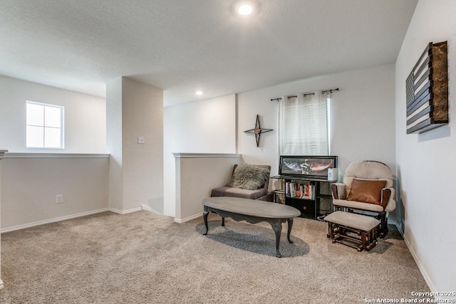 living area featuring carpet flooring