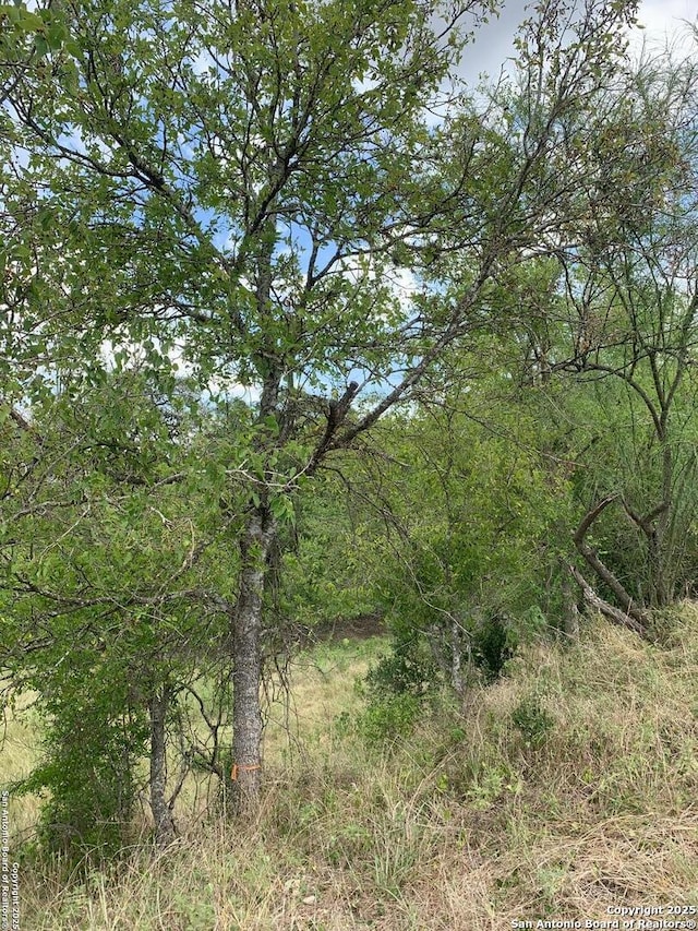 Listing photo 2 for LOT-1 River Blf, Castroville TX 78009