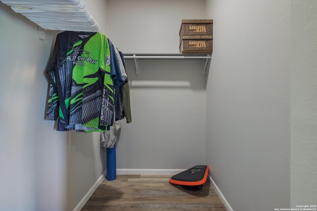 spacious closet featuring hardwood / wood-style flooring