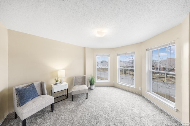 living area with a textured ceiling and carpet flooring