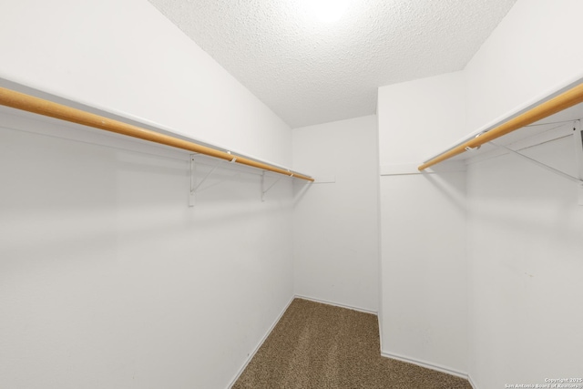 spacious closet with dark colored carpet