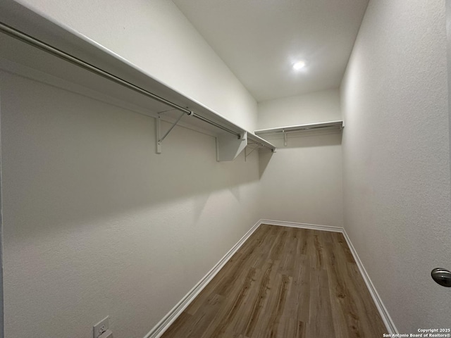 spacious closet with hardwood / wood-style flooring