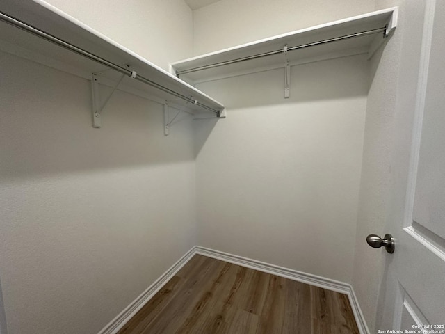 walk in closet featuring wood-type flooring