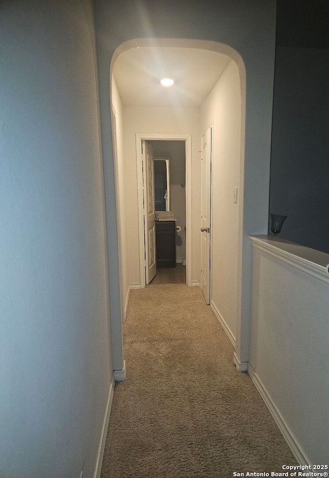 hallway featuring carpet floors