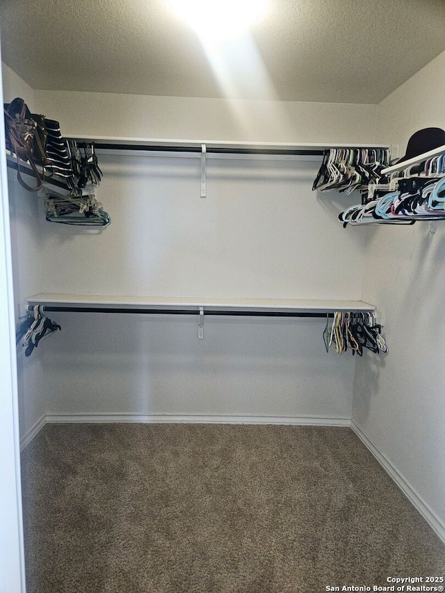 spacious closet featuring carpet flooring