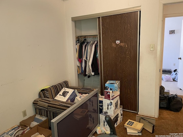 view of closet