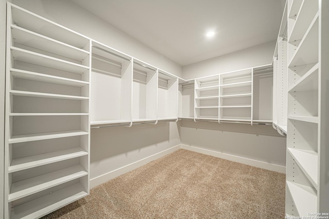 walk in closet with carpet