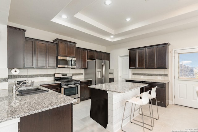 kitchen featuring light stone counters, sink, a tray ceiling, and stainless steel appliances