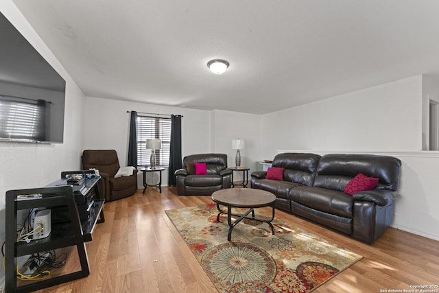 living room with wood-type flooring