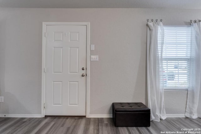 foyer entrance featuring wood-type flooring