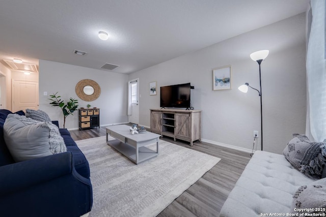 living room with wood-type flooring