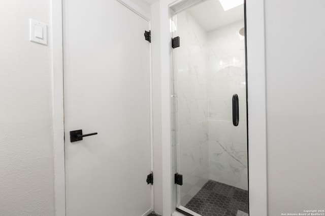 bathroom featuring a shower with shower door