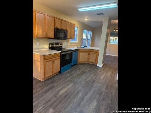 kitchen with dark hardwood / wood-style flooring, sink, and stainless steel appliances