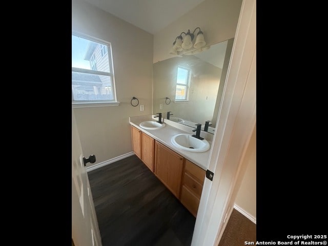 bathroom featuring wood-type flooring and vanity