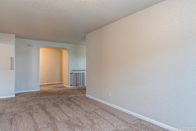 spare room featuring carpet and a textured ceiling